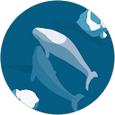 T23U_DB7136 Ashok joshi profile picture